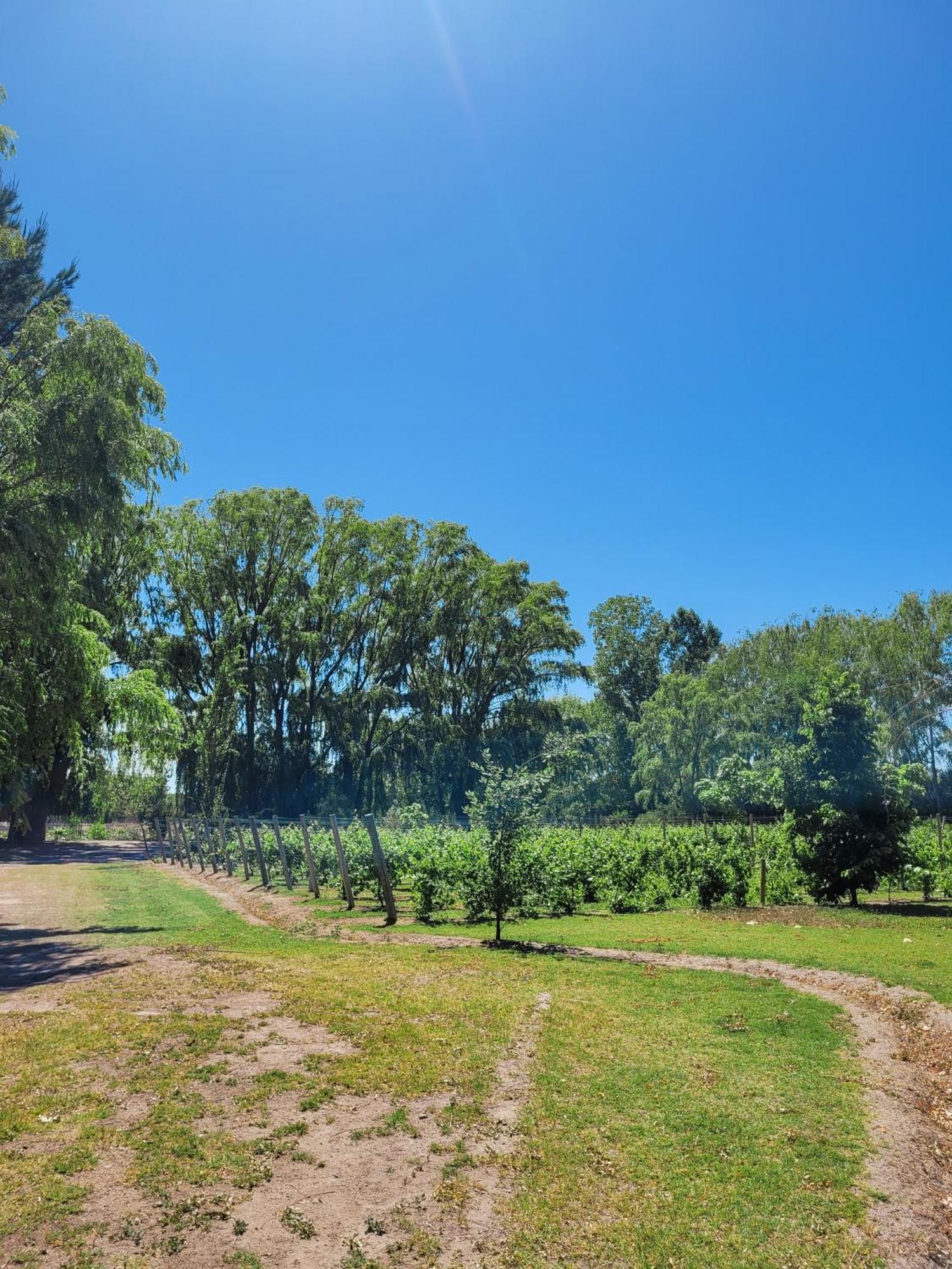Finca La Saucina Casa De Campo Tunuyán Kültér fotó